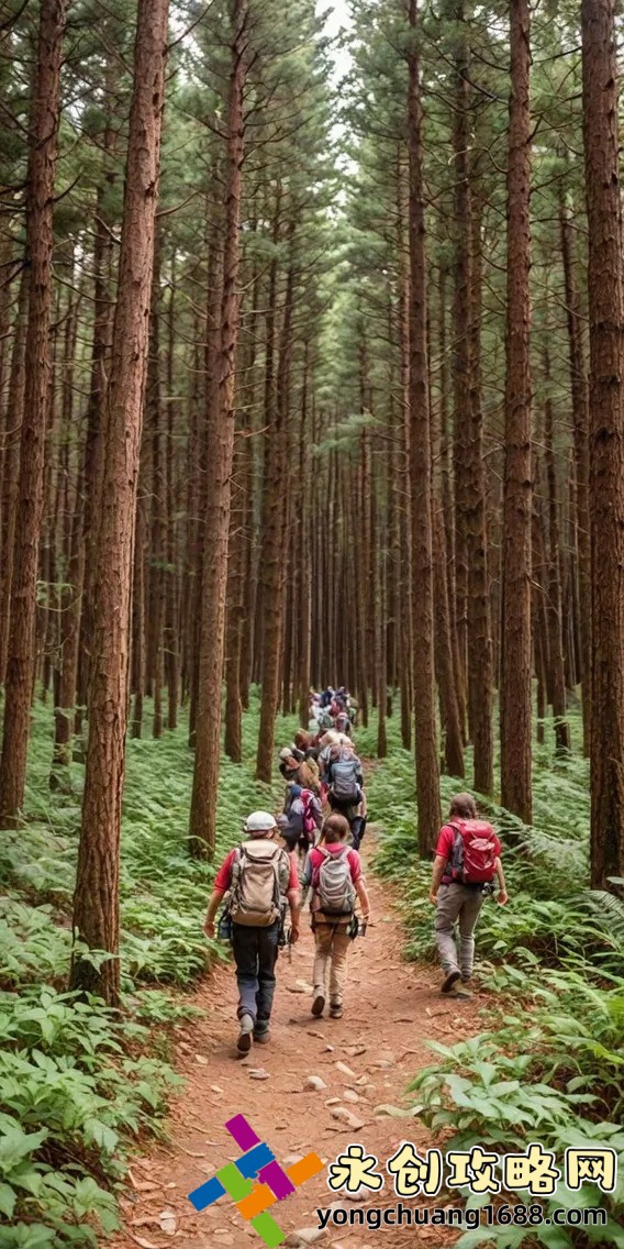 葉真彩衣仙子免費閱讀筆趣閣：一場玄幻之旅，暢游在幻想的世界！