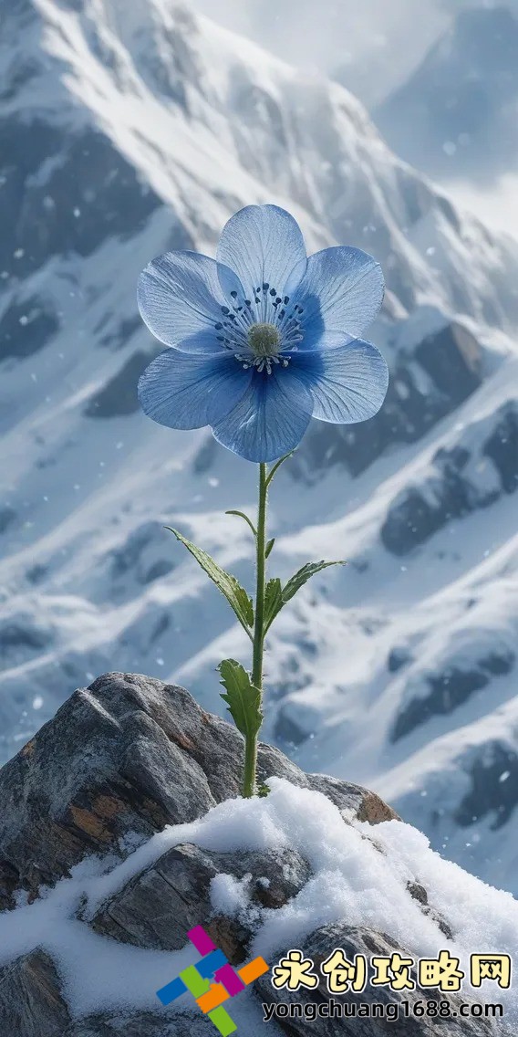 驚天揭秘！網(wǎng)站免費進入窗口軟件2023，輕松開啟無限可能！