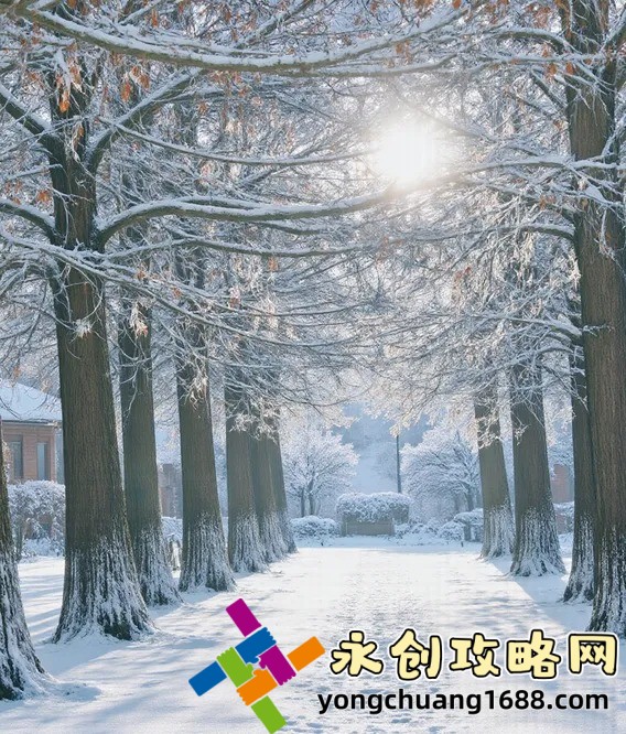 揭秘Google衛(wèi)星地圖：你不知道的10個隱藏功能與實用技巧