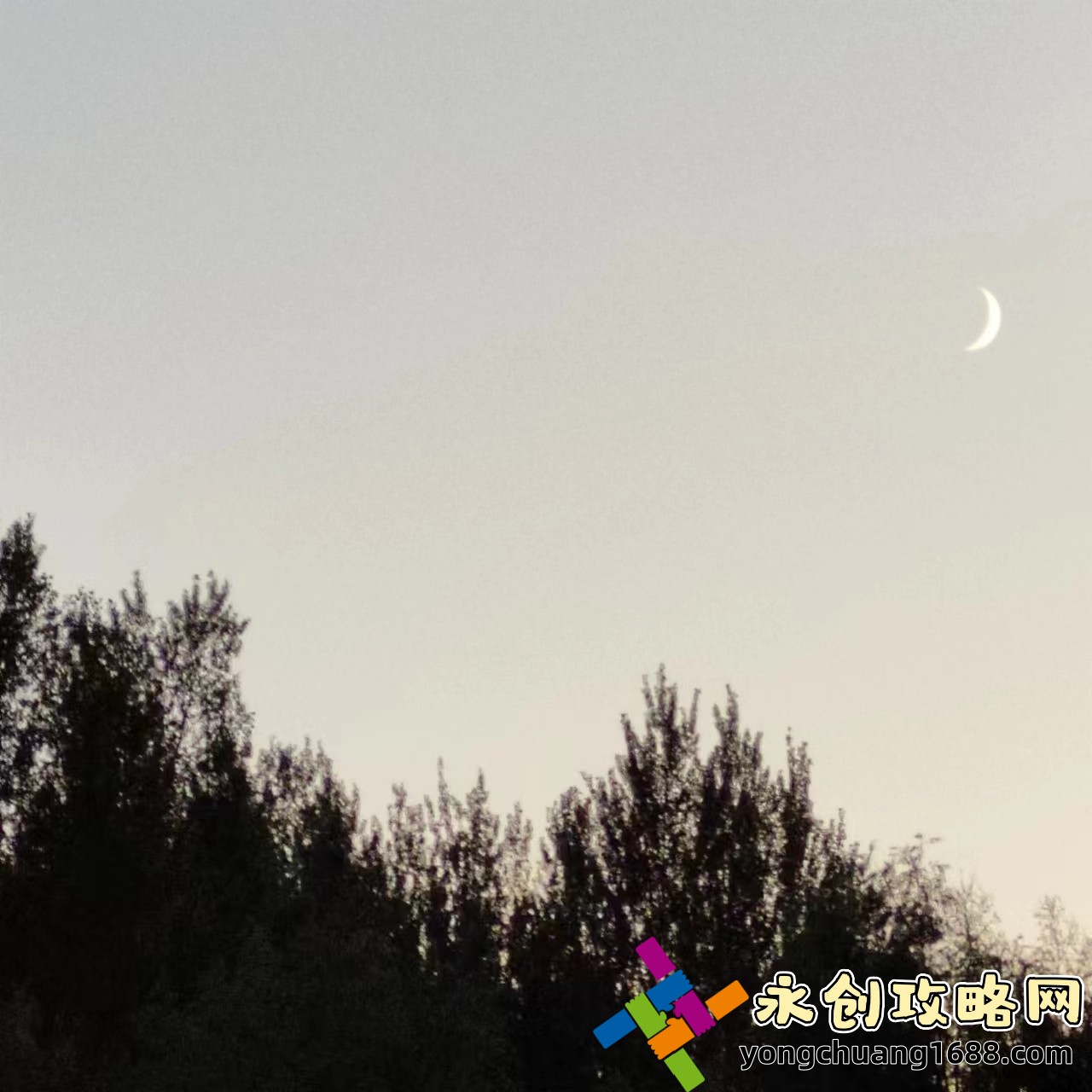玉玲瓏小燈籠多肉：如何養(yǎng)護(hù)讓它更美觀？