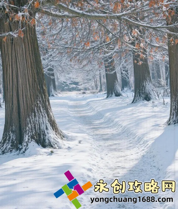 1V1烤魚貓： 獨家解讀這讓人欲罷不能的聽覺盛宴