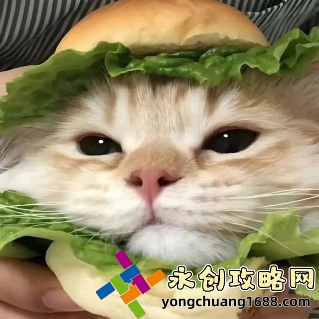 老司機(jī)帶帶我香蕉送給你是什么歌：揭秘“老司機(jī)帶帶我香蕉送給你”是什么歌，背后的熱門原因！