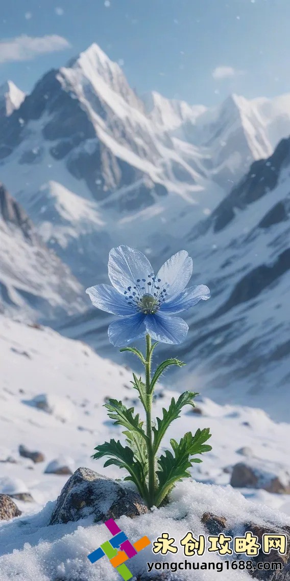 精華液一區(qū)區(qū)別視頻：揭秘美妝達(dá)人推薦的護(hù)膚秘密